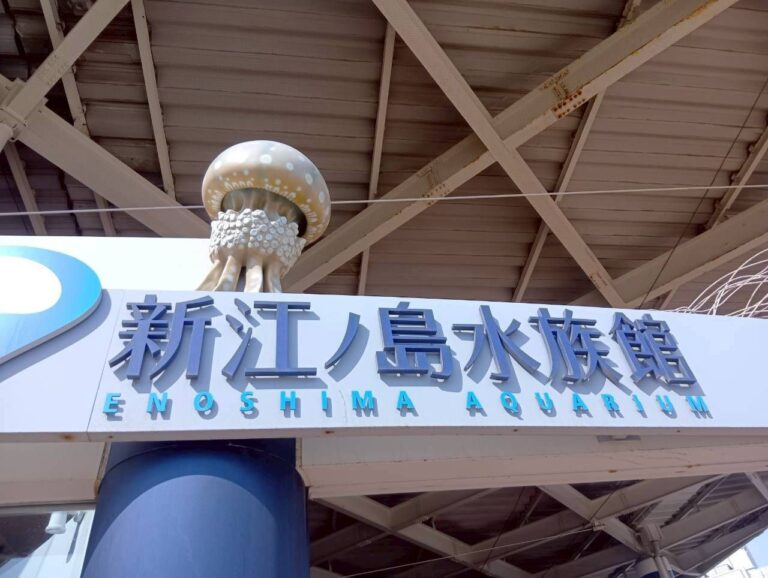 🐬 社会見学で「新江ノ島水族館」へ行ってきました（2026年2月6日）