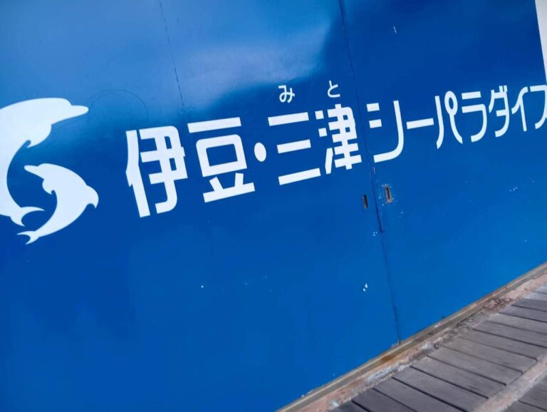 伊豆シーパラダイス＆沼津港へ！社会見学に行ってきました🐟✨