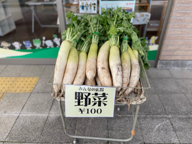 【完売御礼】大根、完売いたしました。